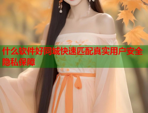 什么软件好同城快速匹配真实用户安全隐私保障 什么软件好同城快速匹配真实用户安全隐私保障